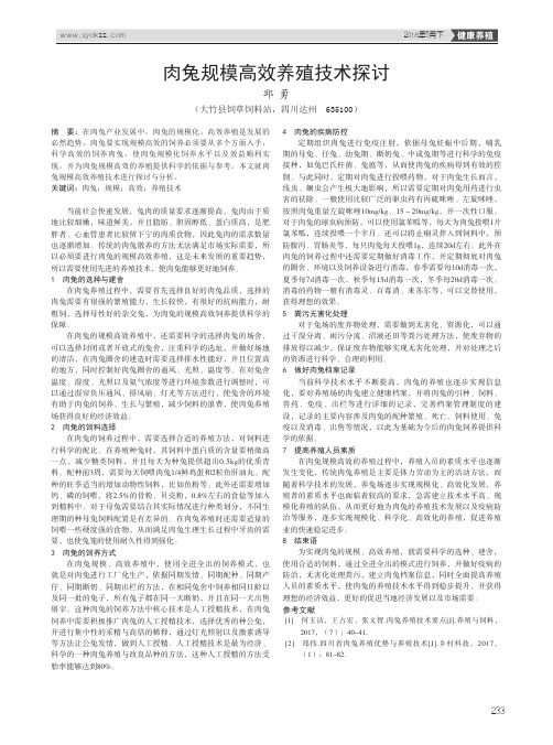 肉兔规模高效养殖技术探讨