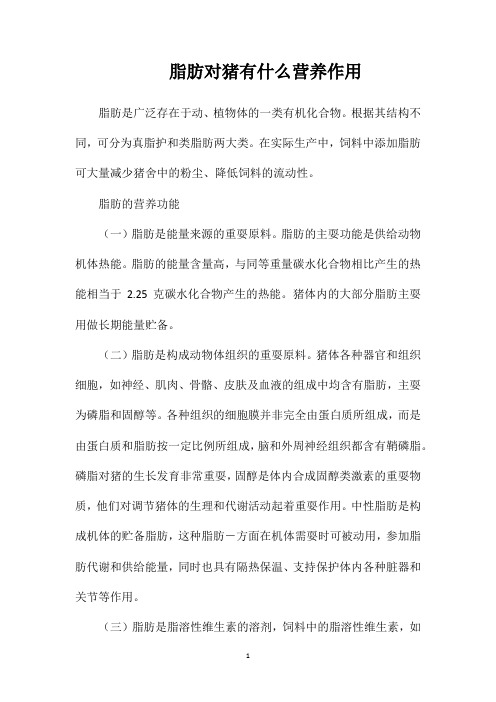 脂肪对猪有什么营养作用