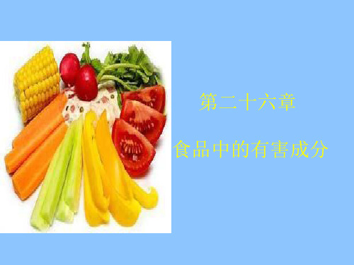 第二十六章食品中的有害成分-资料
