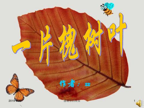 语文版八下《一片槐树叶》课件.ppt