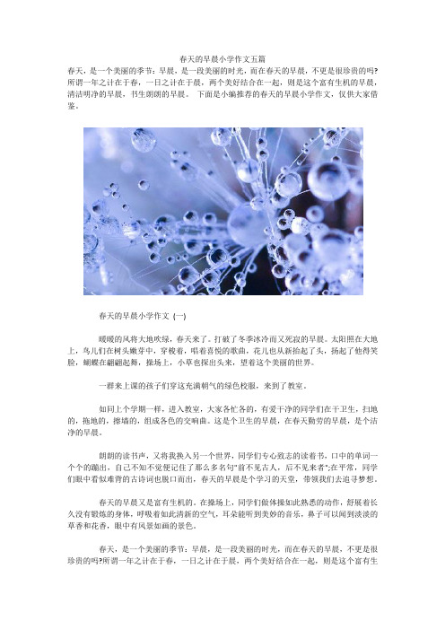 春天的早晨小学作文五篇