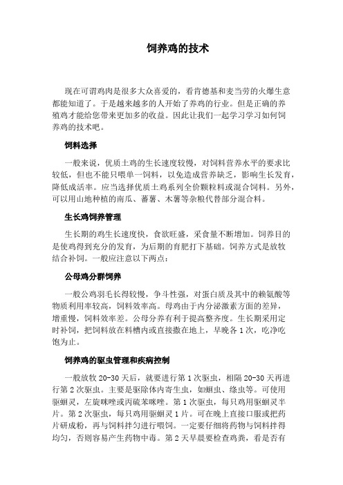 饲养鸡的技术