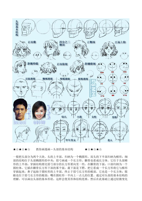 头部基本结构