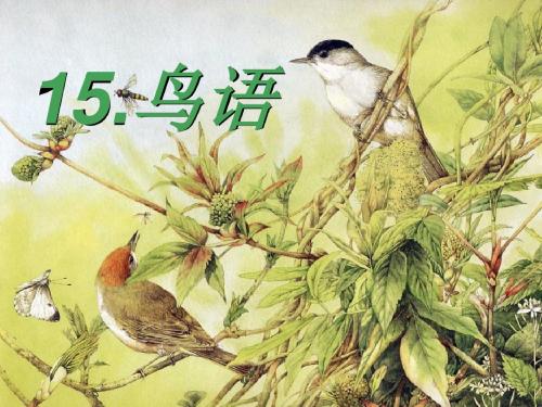 《鸟语》PPT课件2