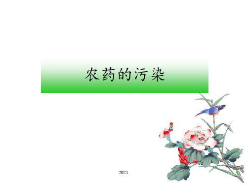 农药污染与防治PPT课件