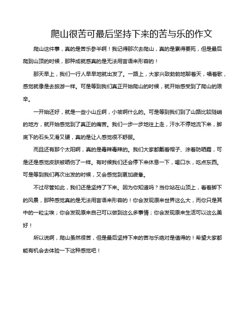 爬山很苦可最后坚持下来的苦与乐的作文