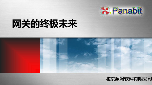 Panabit技术讲解_流量控制