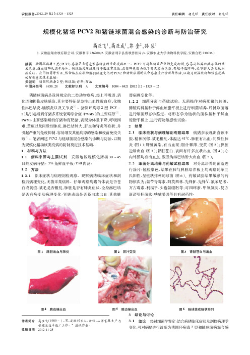 规模化猪场PCV2和猪链球菌混合感染的诊断与防治