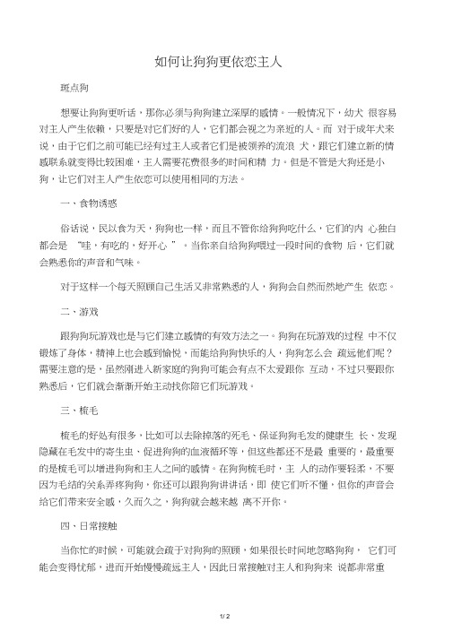 如何让狗狗更依恋主人