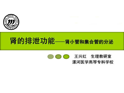 肾小管和集合管的分泌