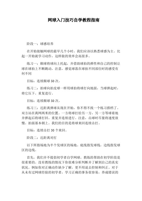 网球入门技巧自学教程指南