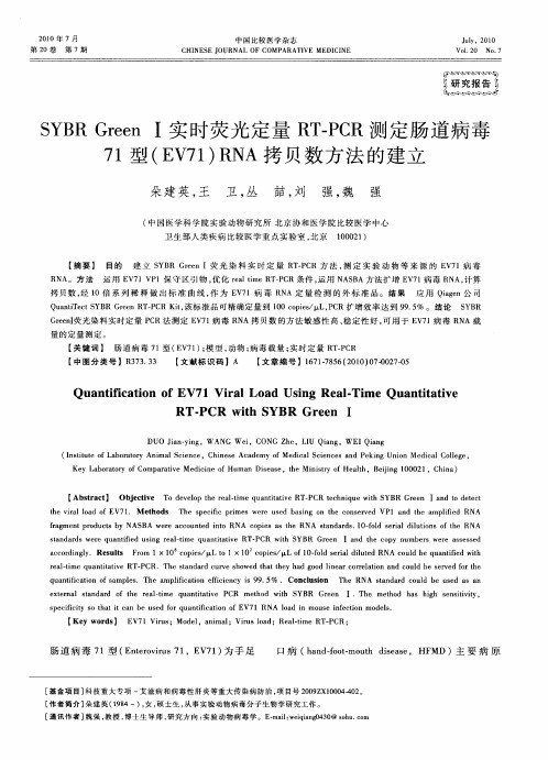 SYBR GreenⅠ实时荧光定量RT-PCR测定肠道病毒71型(EV71)RNA拷贝数方法的建立