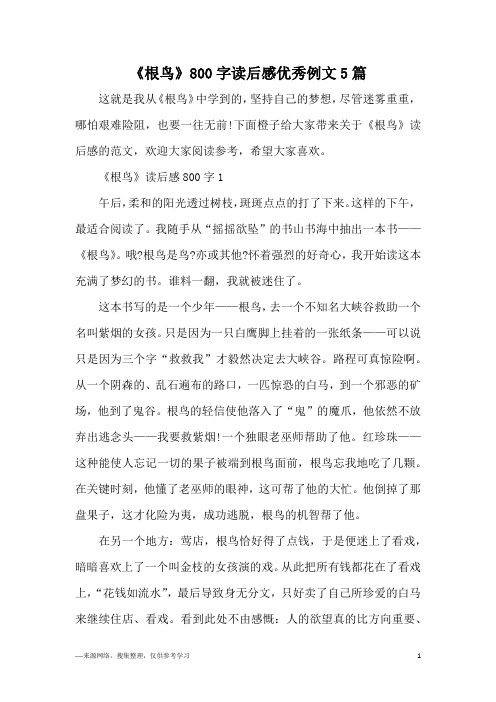 《根鸟》800字读后感优秀例文5篇