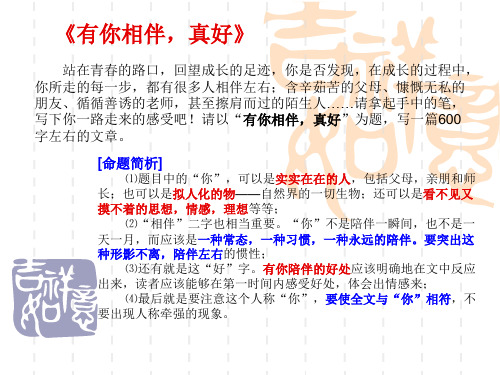 作文  一路有你相伴