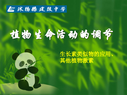 植物生命活动的调节