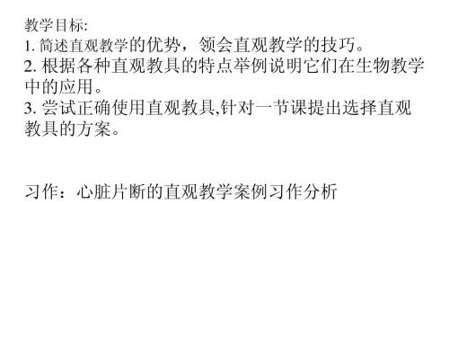 10级直观教学法0904