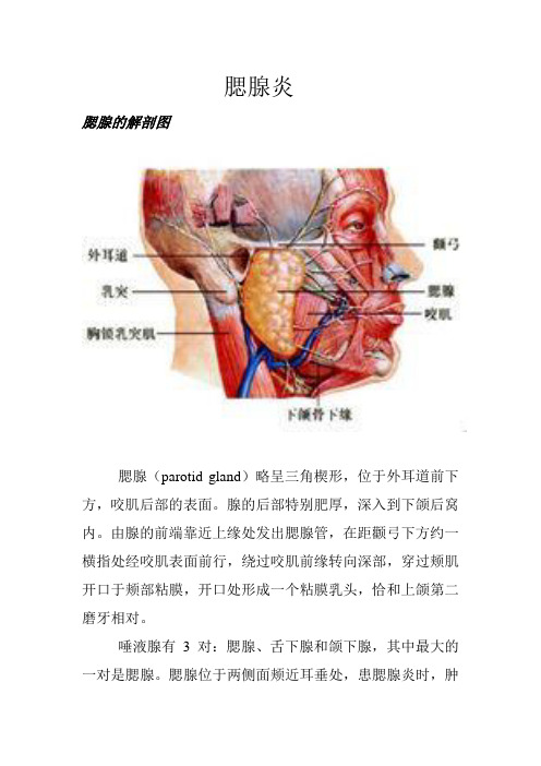 腮腺炎课件