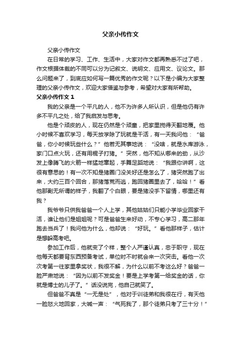 父亲小传作文