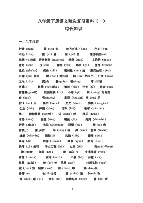 2017-2018人教版语文八年级下册期末综合复习资料(精心梳理,超全)