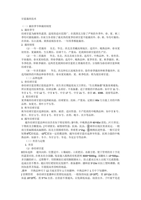 甘蓝栽培技术
