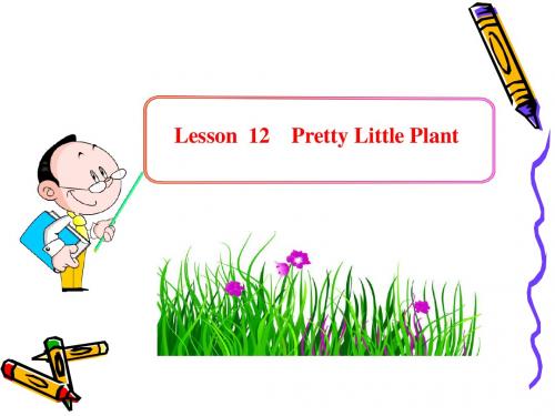 新冀教版八年级英语下册Unit2 Plant a Plant!Lesson 12优质课课件(共12张PPT)