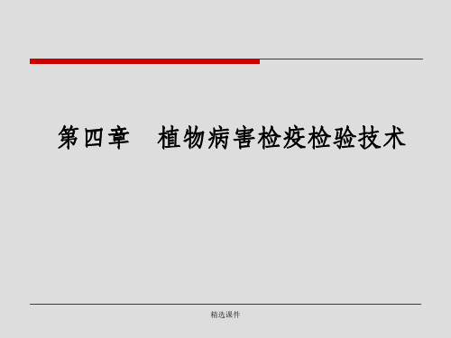 植物病害检疫检验技术真菌ppt课件