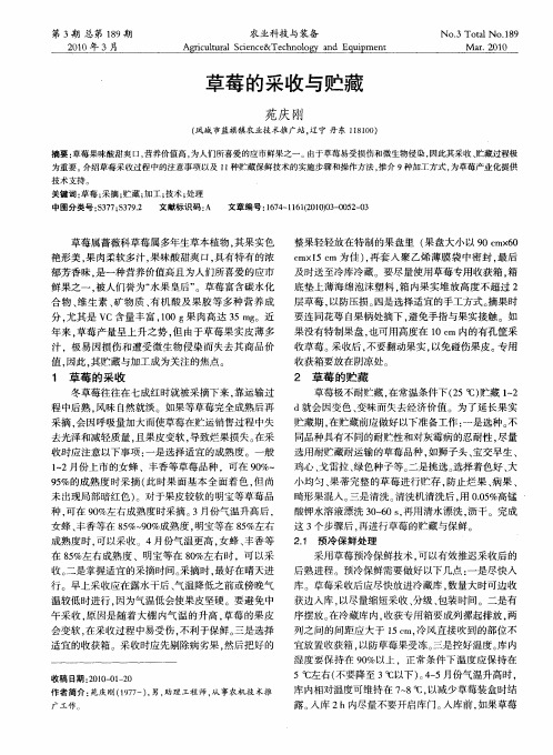草莓的采收与贮藏