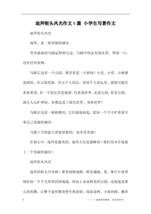 迪拜街头风光作文5篇 小学生写景作文