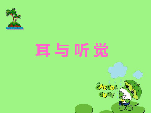 耳与听觉PPT课件1 人教版
