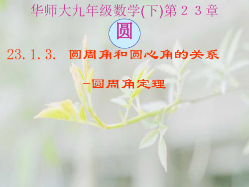 圆心角与圆周角的关系圆周角定理PPT教学课件