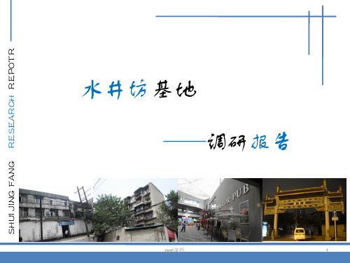 水井坊调研报告  ppt课件