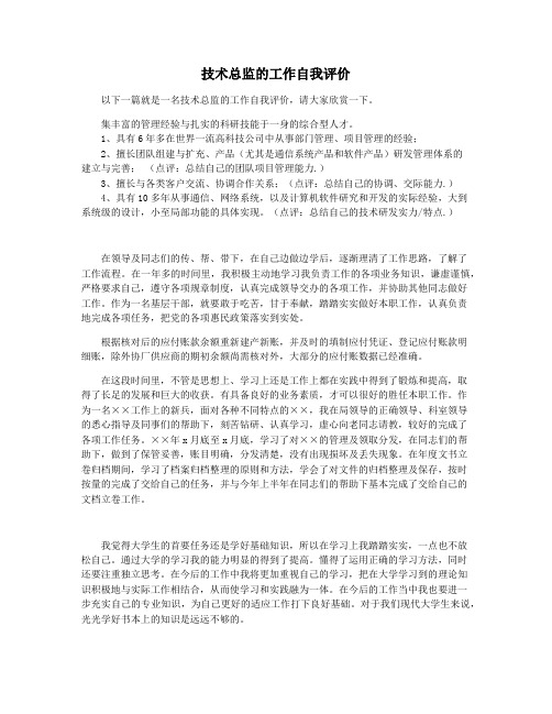 技术总监的工作自我评价