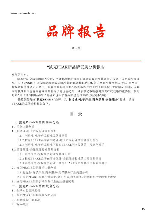 披克PEAKE的品牌资质分析报告
