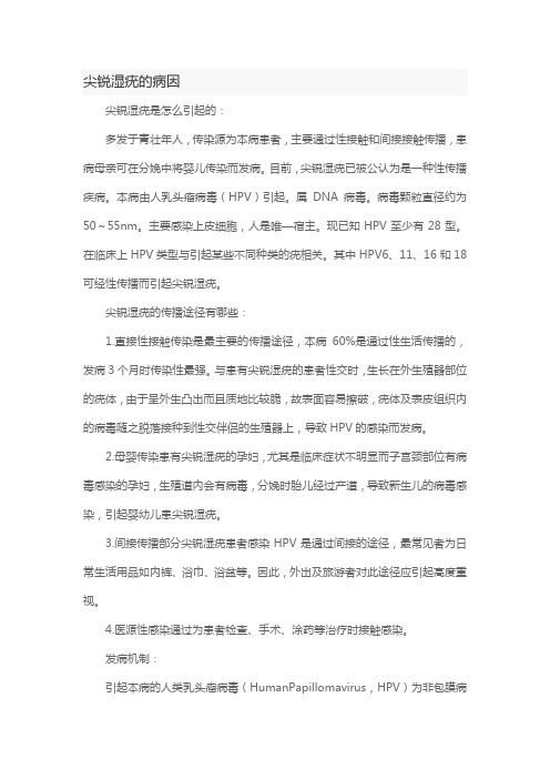 尖锐湿疣的病因