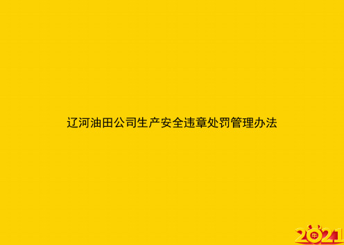 辽河油田公司生产安全违章处罚管理办法ppt正式完整版