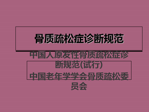 骨质疏松诊断标准ppt课件
