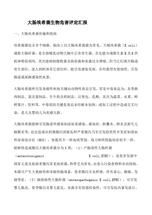 大肠埃希菌的生物危害评估综合报告