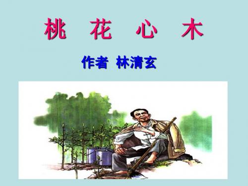 人教版六年级下册3课《桃花心木》PPT