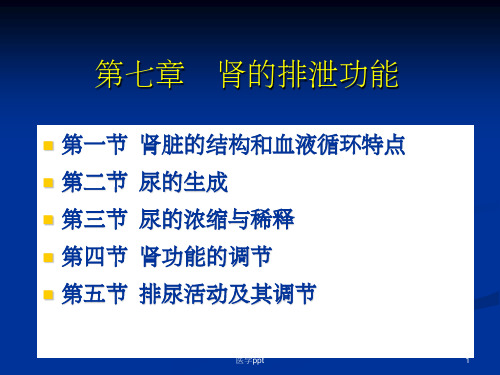 正常人体功能07肾的排泄功能feng
