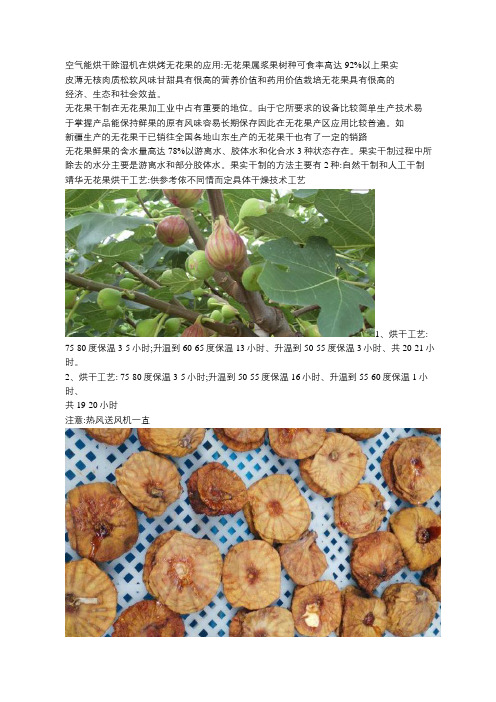 最新无花果烘干工艺参数