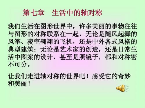 7.1轴对称现象