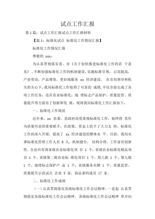 试点工作汇报