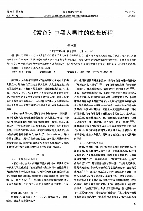 《紫色》中黑人男性的成长历程