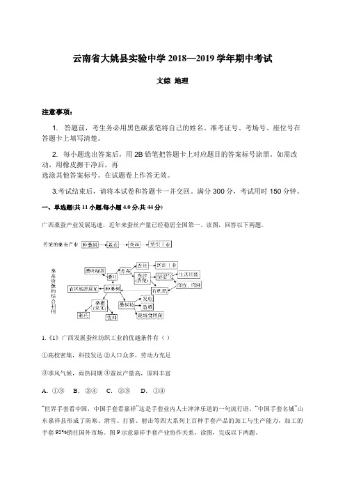 云南省大姚县实验中学2018—2019学年期中考试 高三文综地理