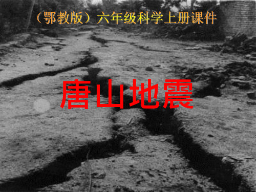 14.唐山地震(鄂教版)六年级科学上册课件