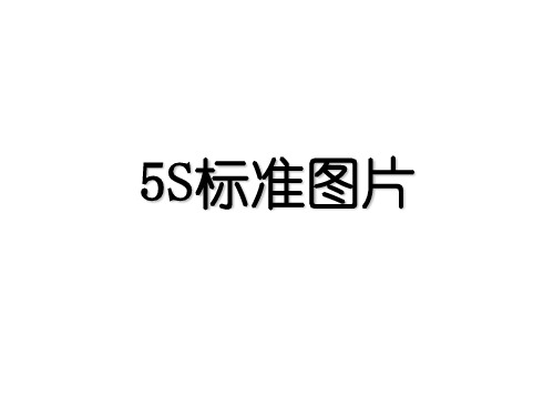 5S标准图片范例