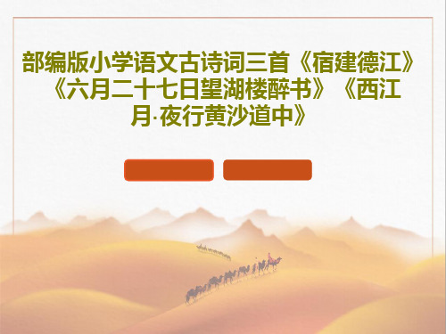 部编版小学语文古诗词三首《宿建德江》《六月二十七日望湖楼醉书》《西江月·夜行黄沙道中》PPT共86页