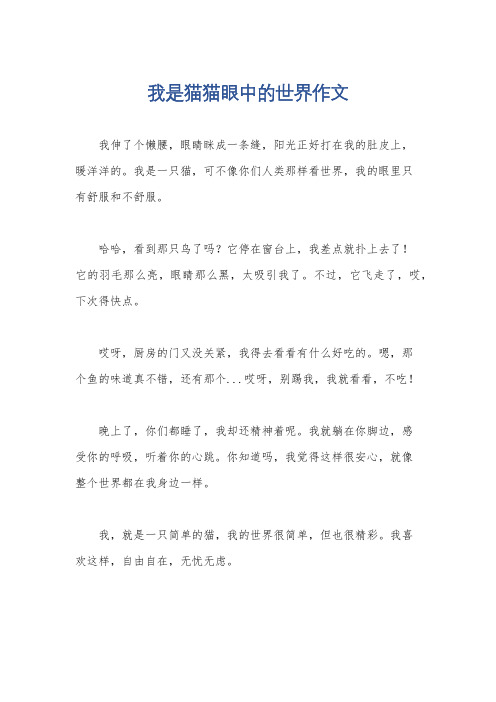 我是猫猫眼中的世界作文
