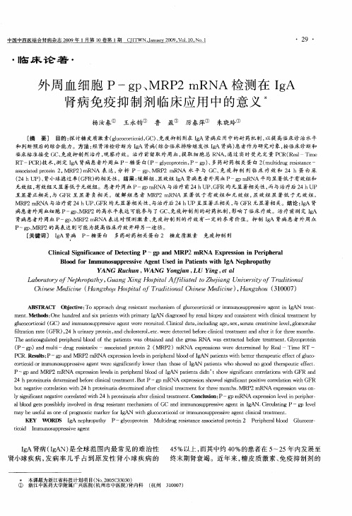 外周血细胞P—gp、MRP2mRNA检测在IgA肾病免疫抑制剂临床应用中的意义