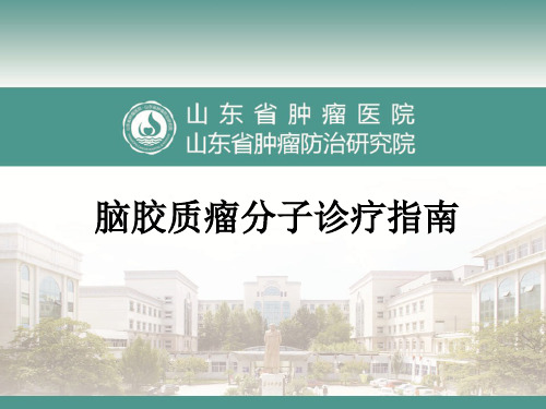 脑胶质瘤分子诊疗指南